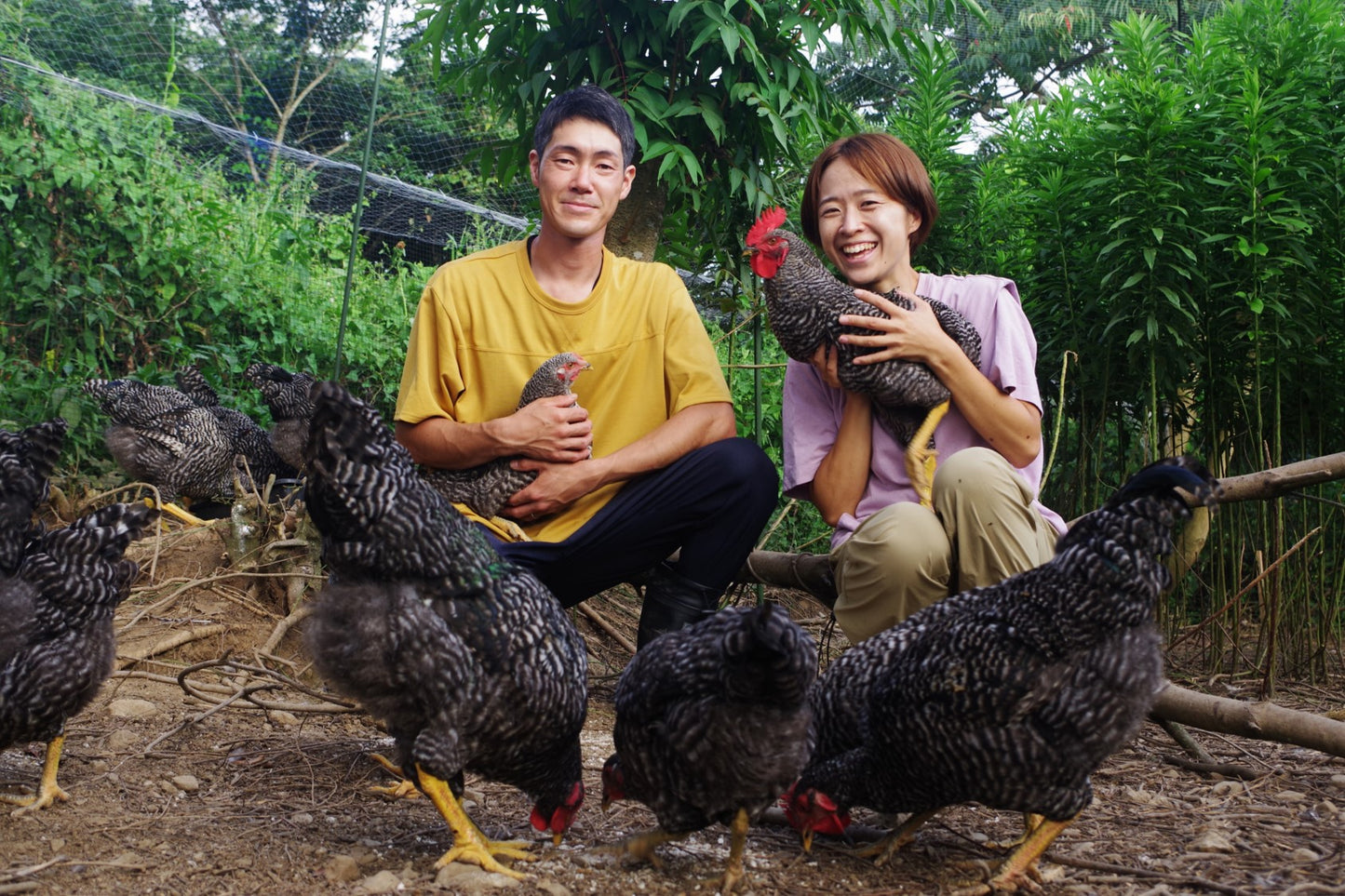 【期間限定】放し飼い鶏の長期育成肉 「俺のすべて」スモークチキン と国産飼料の放牧卵「君は太陽」6個セット