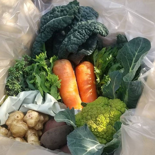 季節の野菜（単品）