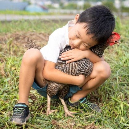 卵を産んでくれた親鶏「心の底から」（丸鶏）