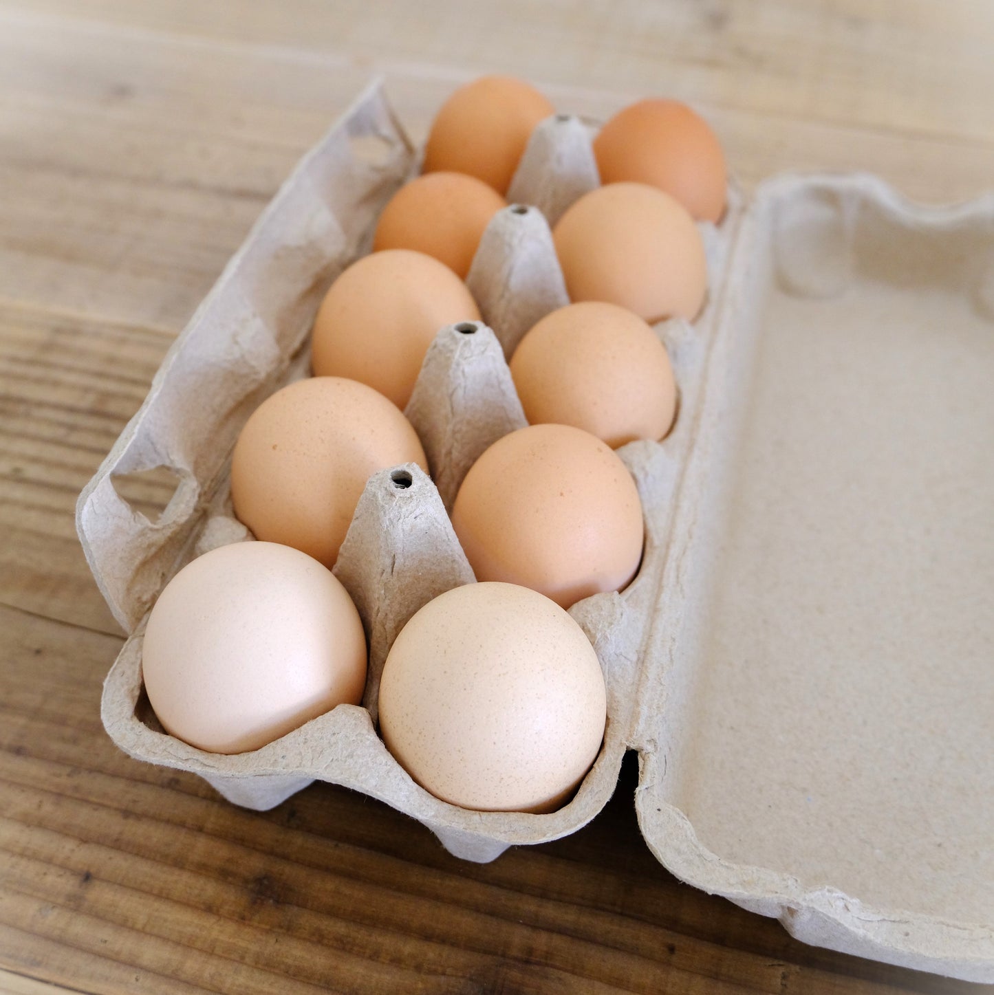 【定期購入】国産飼料の放し飼い有精卵『君は太陽』