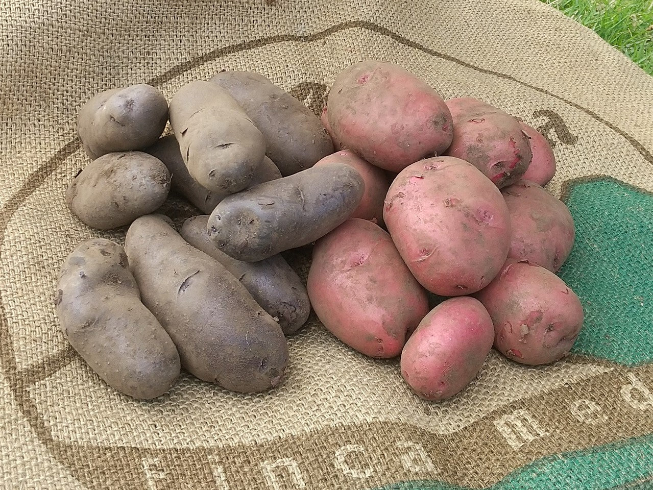 季節の野菜（単品）